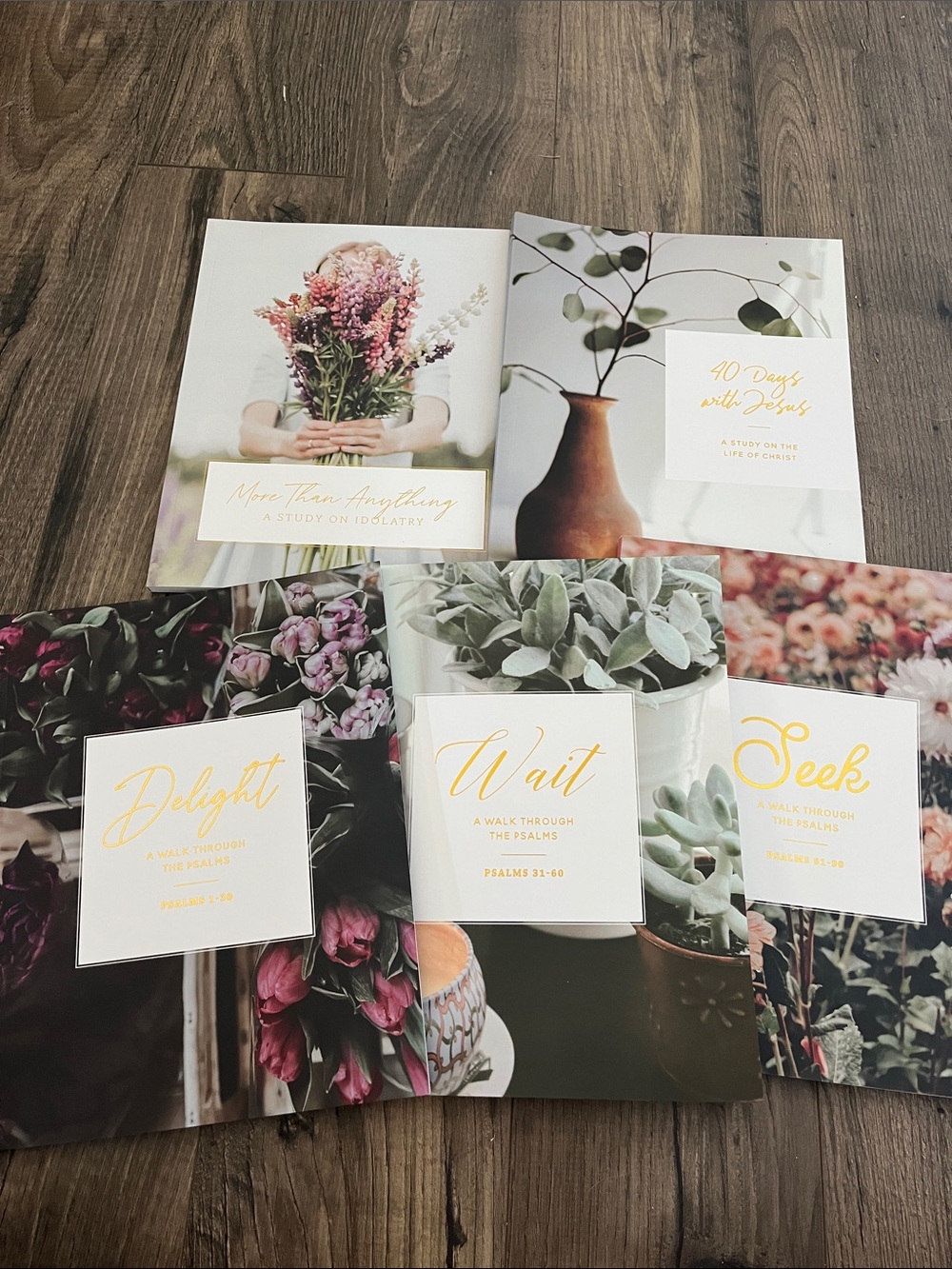 Daily Grace Co Bible Study Books